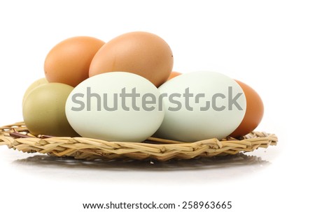 Duck Eggs and Chicken eggs on white background
