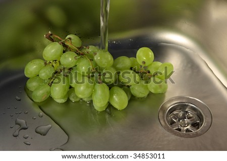 Washing Grape wine in stainless steel sink