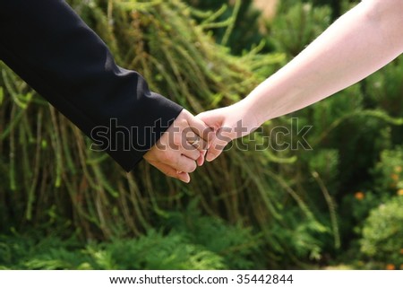 holding hands love. stock photo : Love holding