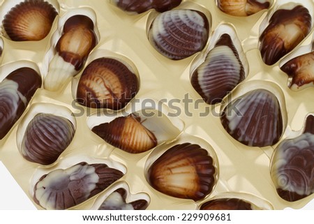 Mixed pieces of chocolate seashell candies