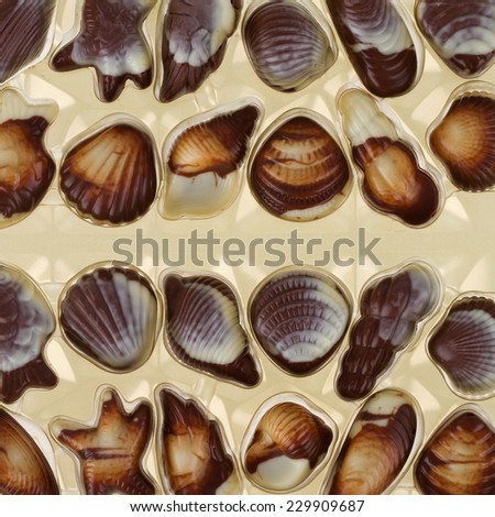 Mixed pieces of chocolate seashell candies
