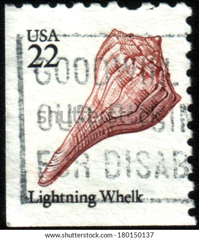 UNITED STATES - CIRCA 1985: stamp printed by United States of America, shows seashell Lighting Whelk, circa 1985