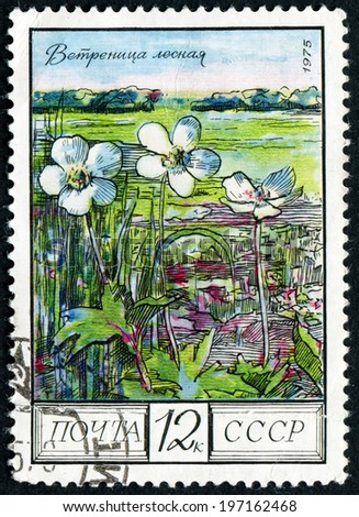 RUSSIA - CIRCA 1975: post stamp printed in USSR (CCCP, soviet union) shows image of wood anemones, steppe from regional flowers series, Scott catalog 4397 A2090 12k black multicolor, circa 1975