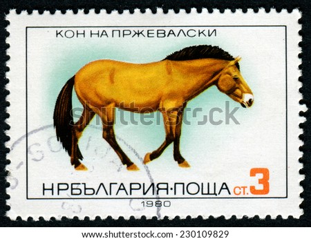 BULGARIA - CIRCA 1980: A stamp printed in Bulgaria shows Przewalski\'s Horse, circa 1980