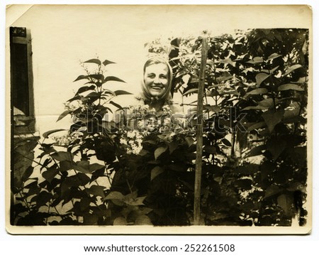 Ussr - CIRCA 1960s: An antique Black & White photo show woman in the garden