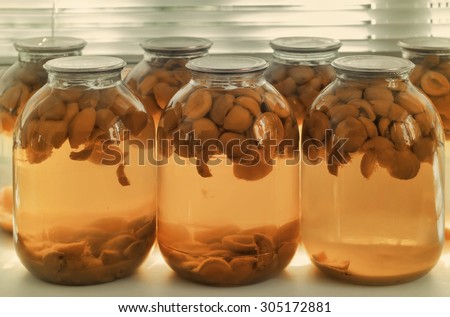 Home canning: large glass cylinders with apricot compote, sealed with metal caps. Presented on the background of a window.