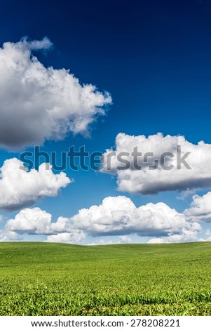 Scenic Summer Butted Field and Cloudy Blue Sky. Nature Vertical Backdrop.