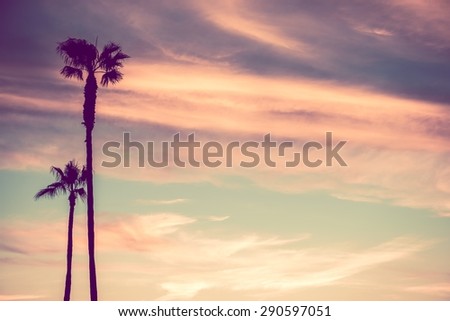 Hot California Background with Two California Beach Palms and the Sunset Sky.