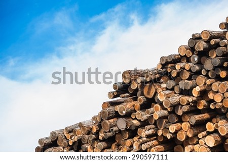 Pile of Raw Wood Logs. Wood Industry Photo.