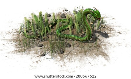 Snake in the Grass - separated on white background