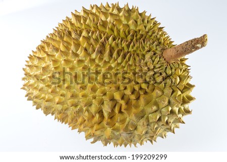 Durian fruit come from Thailand