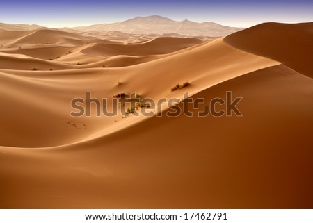 Moroccan desert dune background 04. Blue sky