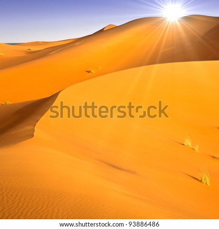 Desert dunes landscape with sun flare on blue sky.