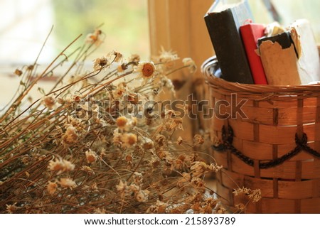 http://www.shutterstock.com/ru/pic-215893789/stock-photo-old-books-of-dried-daisy-flowers-retro-basket.html?src=jbJfCWTgnY9_1XyC6aDsVA-1-4