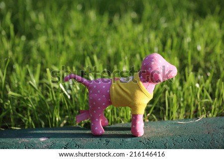toy dog ??grass bright summer sun