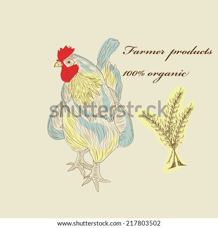 rooster hen organic food products cock animal bird sketch hand-drawing retro Granger