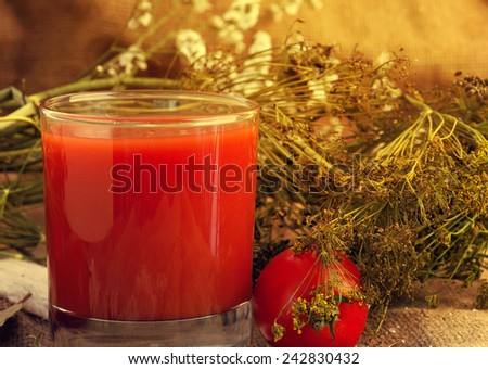 tomato juice glass fennel selective soft focus toned photo