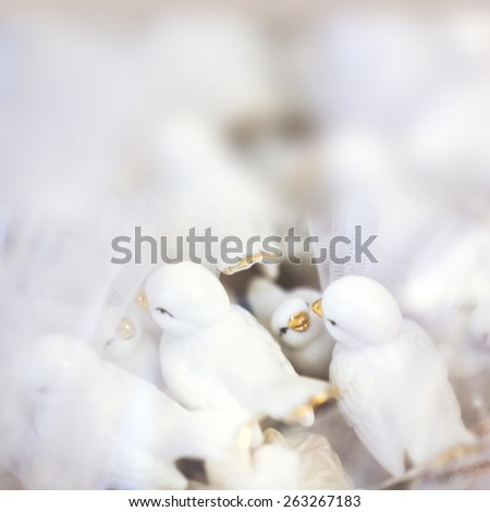 soft blur the background abstract wedding doves birds toned photo