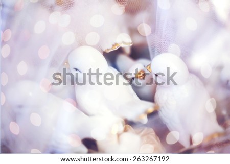 soft blur the background abstract wedding doves birds toned photo