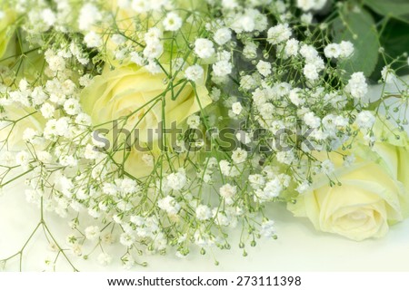 blur style for background abstract floral  is blurred of roses selective soft focus