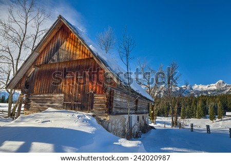 Barn in the Alpine meadow in Winter