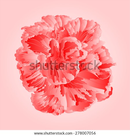 Tropical flower pink hibiscus blossom simple flower vector illustration