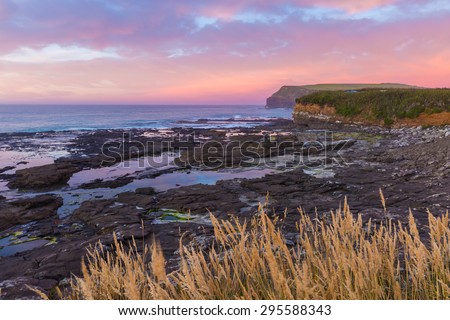 sunset at Curio Bay, the Catlins, New Zealand