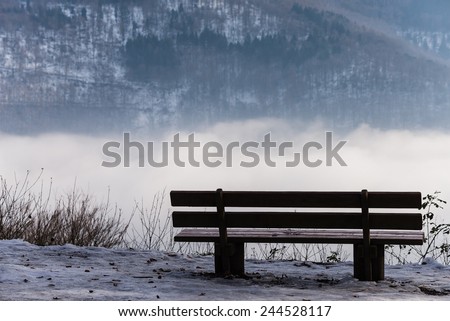a bench to relax after a steep walk up to the top of a hill in heidelberg\'s forest