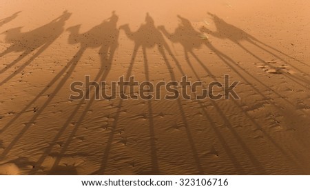 shadow of a camel train in the desert