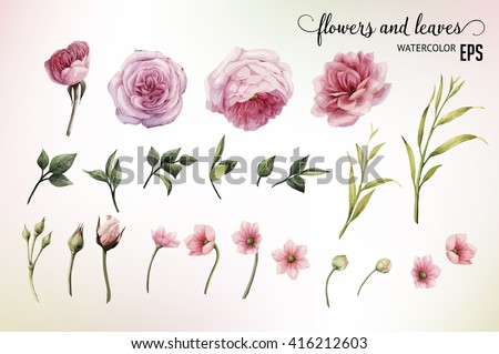 Flowers and leaves, watercolor, can be used as greeting card, invitation card for wedding, birthday and other holiday and  summer background. Vector illustration.