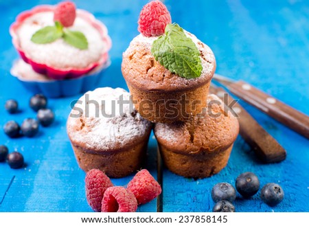 muffins with berries powder