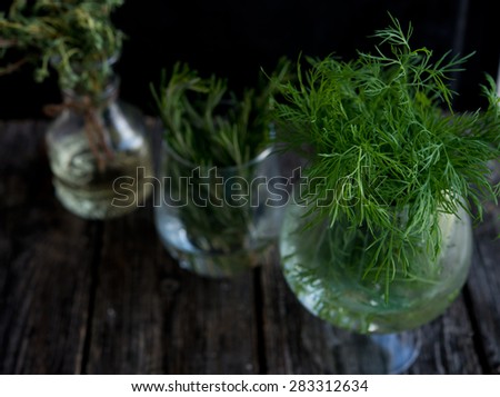 fresh fennel