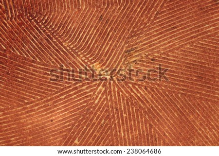 Surface of terracotta engraved with geometric fine lines