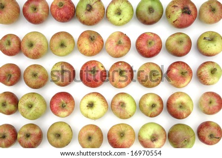 Apples stored