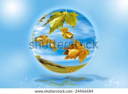 leaves falling from a tree inside crystal ball