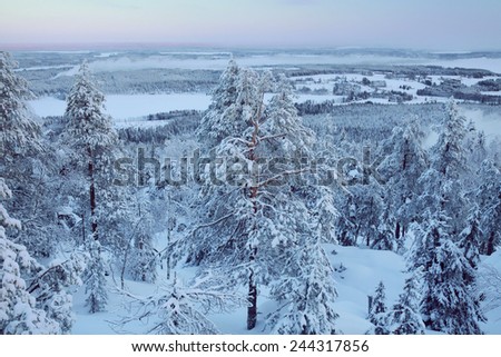 Vuokatti ski resort, Finland, view from the view point on the forest in snow