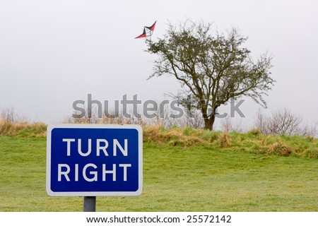 sign saying turn right and behind in the background a kite is stuck in a tree