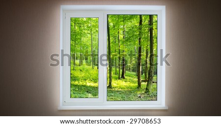 Window with a kind in the forest