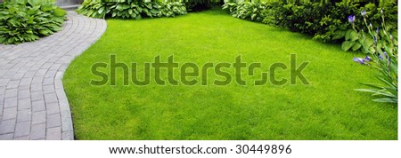 Garden  stone path with grass growing up between the stones