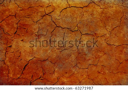 Parched, cracked soil in the hot sun.