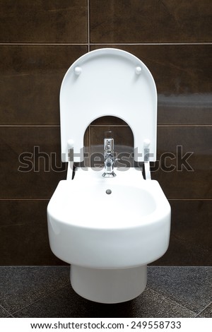 Luxury bathroom closeup - the water-closet and bidet.