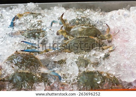 Blue crabs on ice in open buffet restaurant