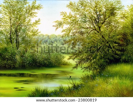 stock photo : summer wood lake