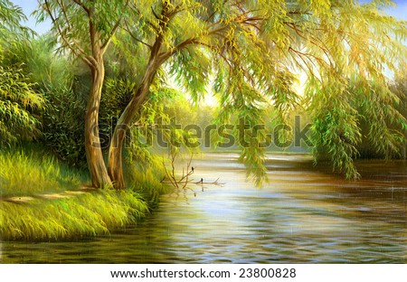 stock photo : summer wood lake