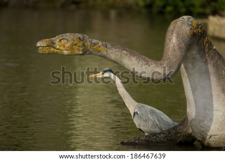Grey Heron (Ardea cinerea) standing in water under a head of a dinosaur, UK