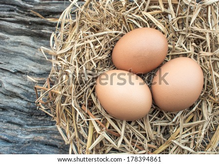 Eggs in straw nest on the wooden floor.