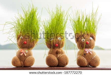 Doll pots for planting trees