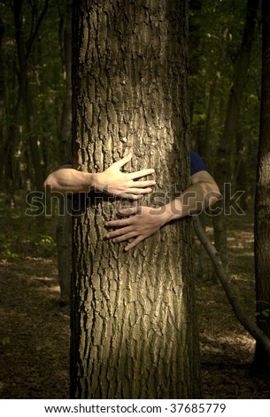 Two hands hugging a mystic forest oak tree