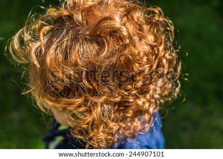 Back of head little girl with long red curled hair \
Little girl with long red curled hair outside in a garden