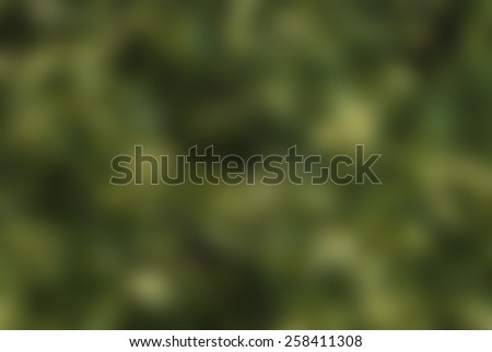 Abstract blurred green image for minimalist and puristic background design  Perfect for minimalist and puristic web design: blurred and filtered image green and yellow with filter effect